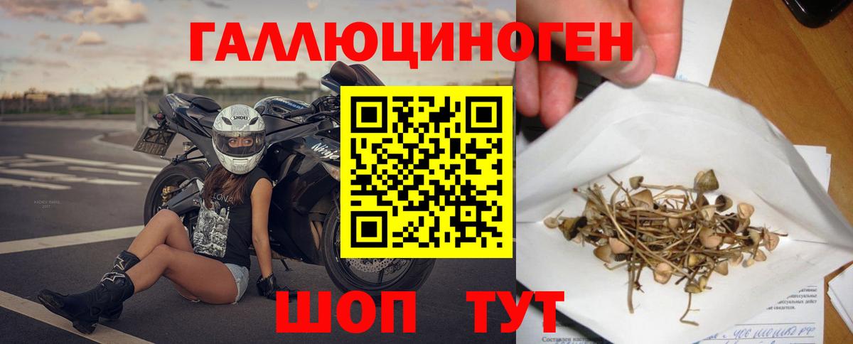 Псилоцибиновые грибы мухоморы  Вход с VPN  Осинники  Галлюциногенные грибы прущие грибы 