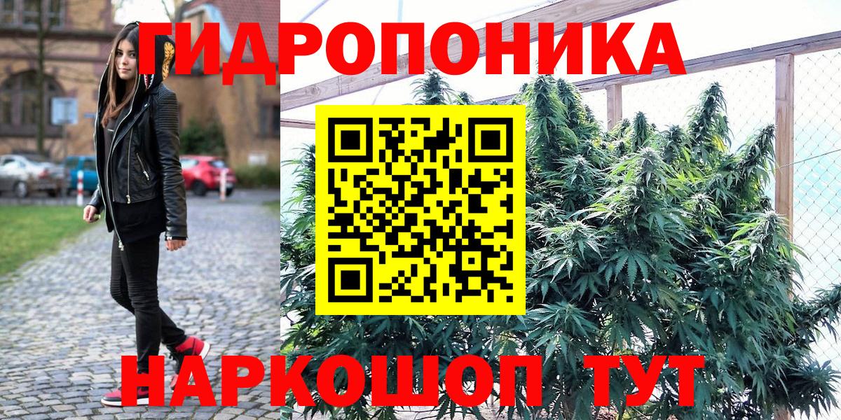 Канабис Amnesia Осинники
