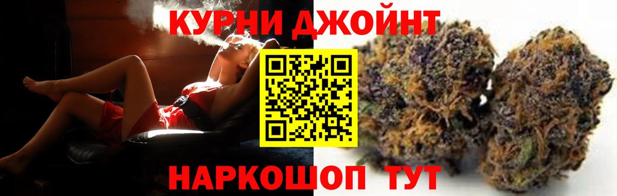 Конопля план  Марихуана гибрид  Вход с VPN  Осинники  Конопля гибрид 